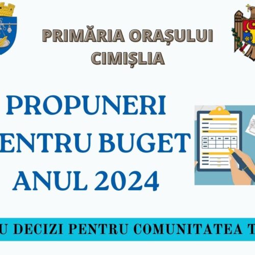 propuneri buget