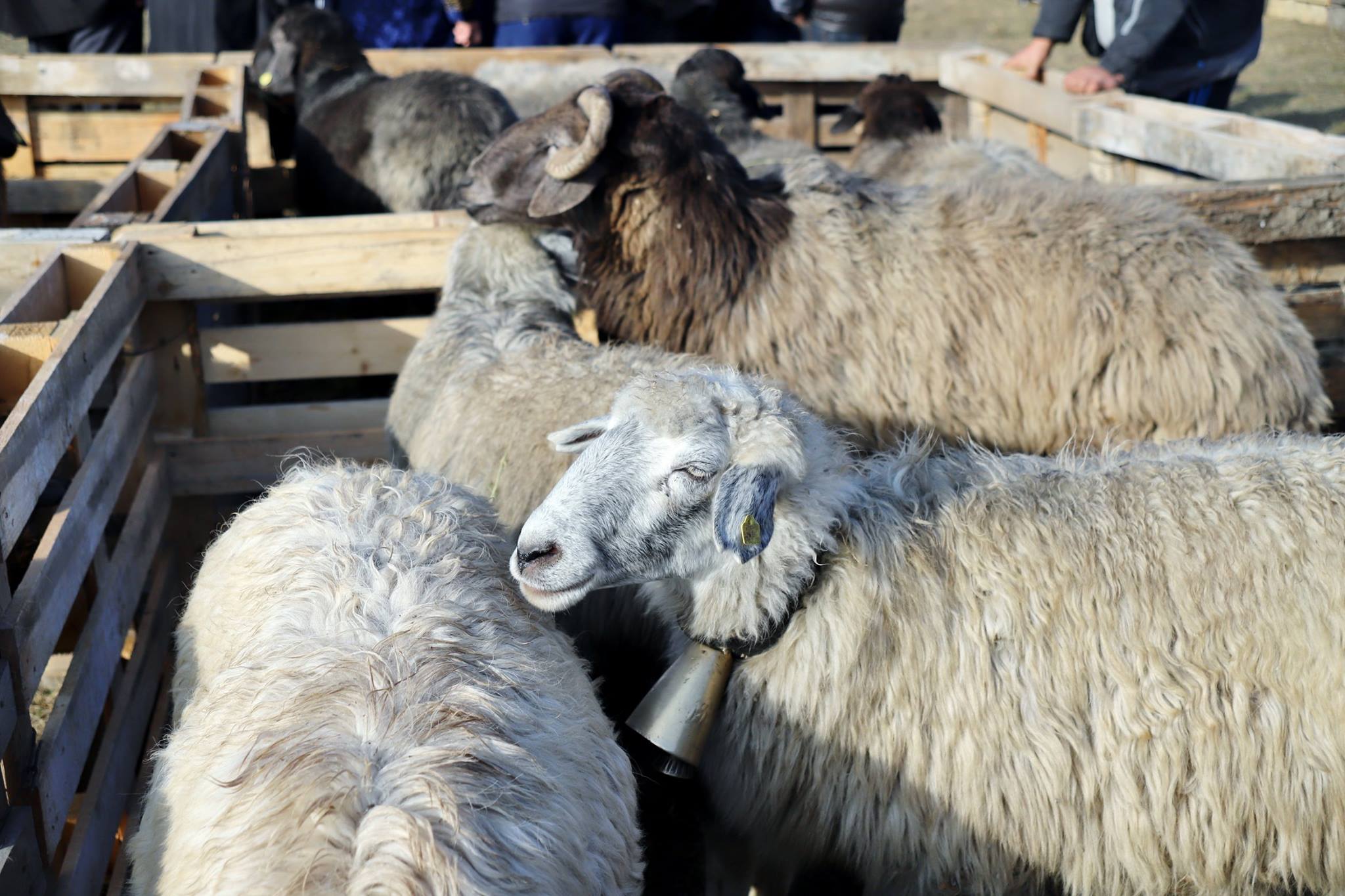 481792608_956471683302384_5996958914732364386_n 481792608_956471683302384_5996958914732364386_n