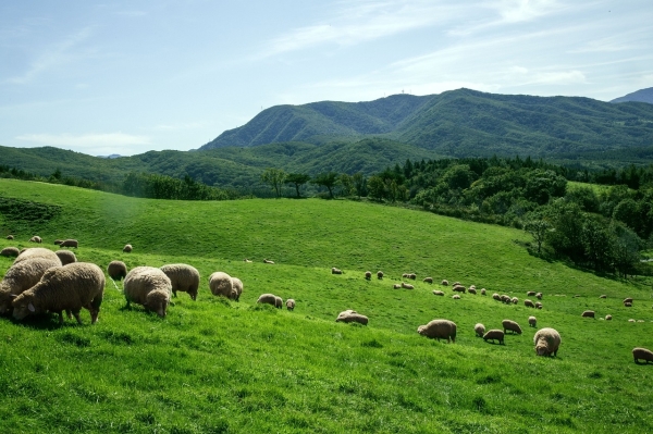 montan-oi-varf_b montan-oi-varf_b