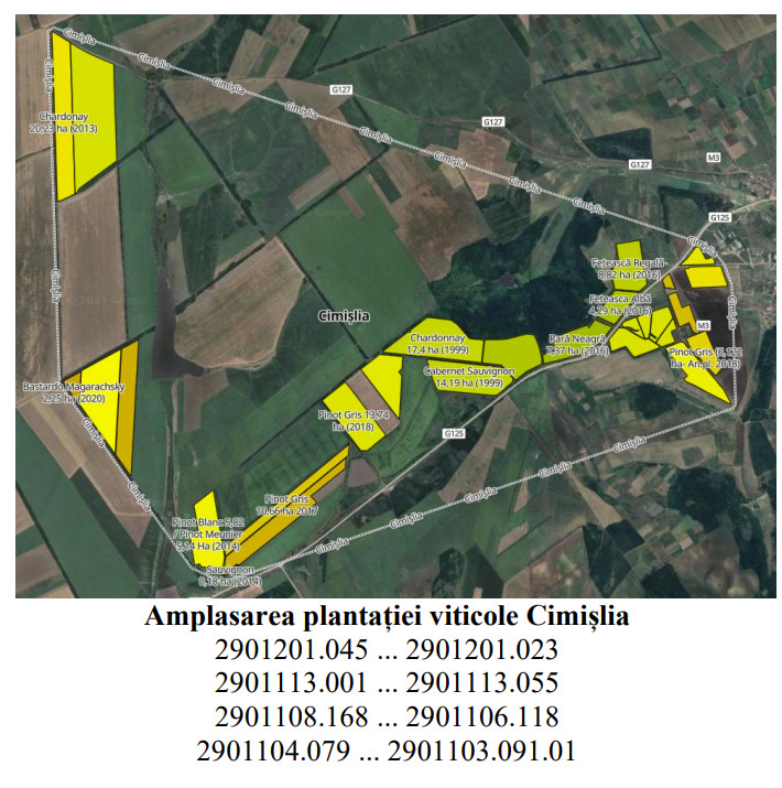 amplasarea plantației viticole Cimișlia amplasarea plantației viticole Cimișlia